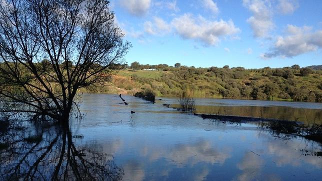  (St. Peter, Schwarzwald, Alemania)